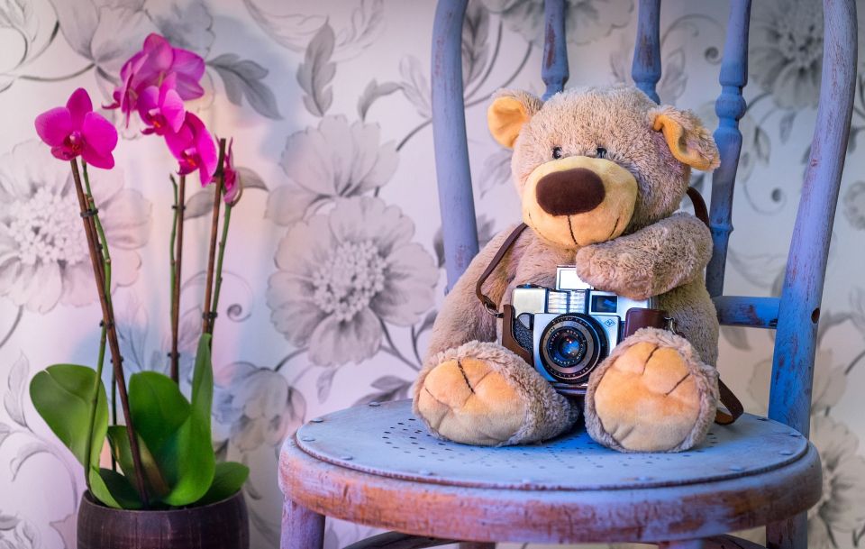 Teddy bear gb15b1a3b9 1920