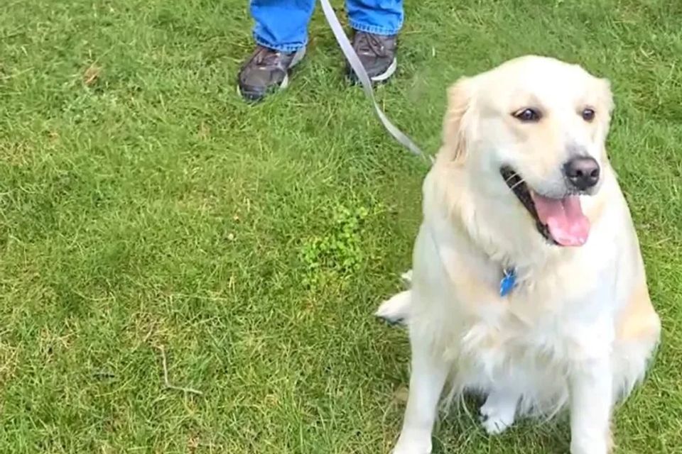 Screenshot 20241215 181348 photos