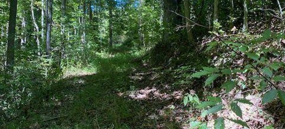Hurricane road  jonesville  va