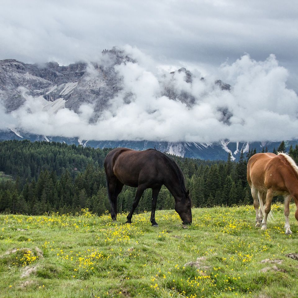 16208275 mountain g08f891f31 1920