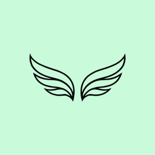 Fly Fitness