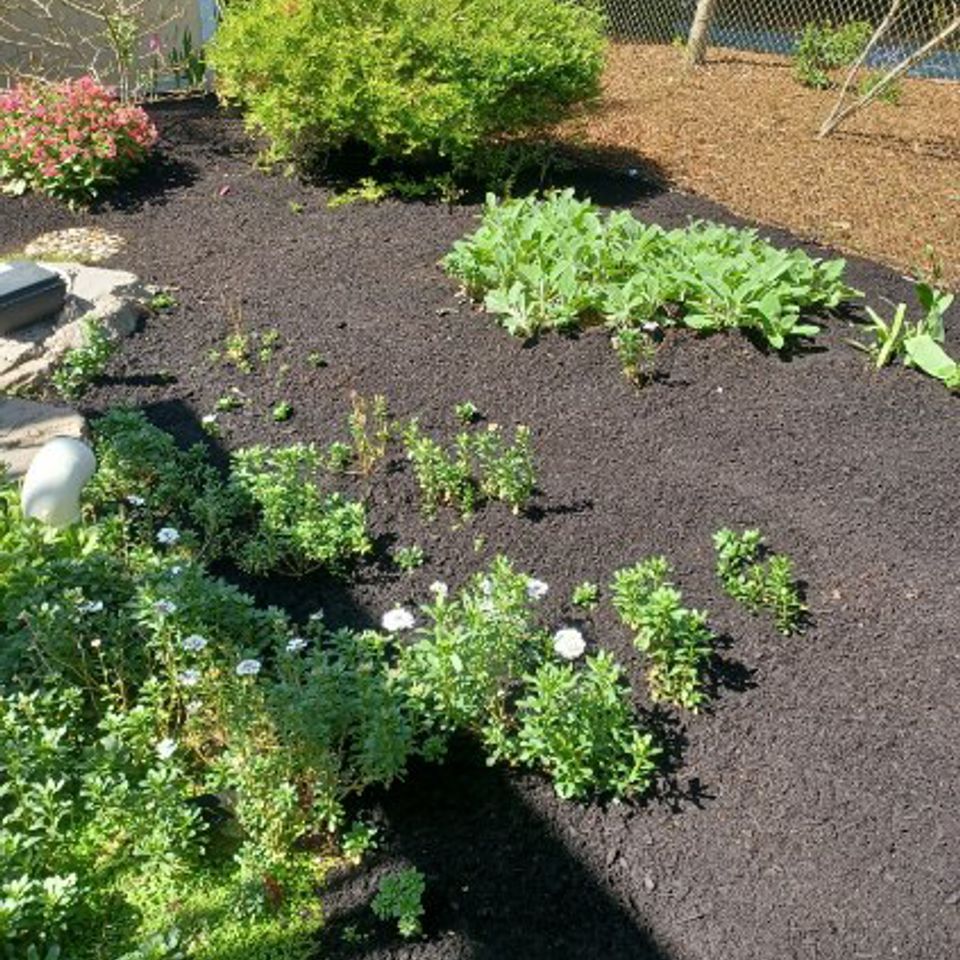 Jpeg image 41b5 901d c8 0