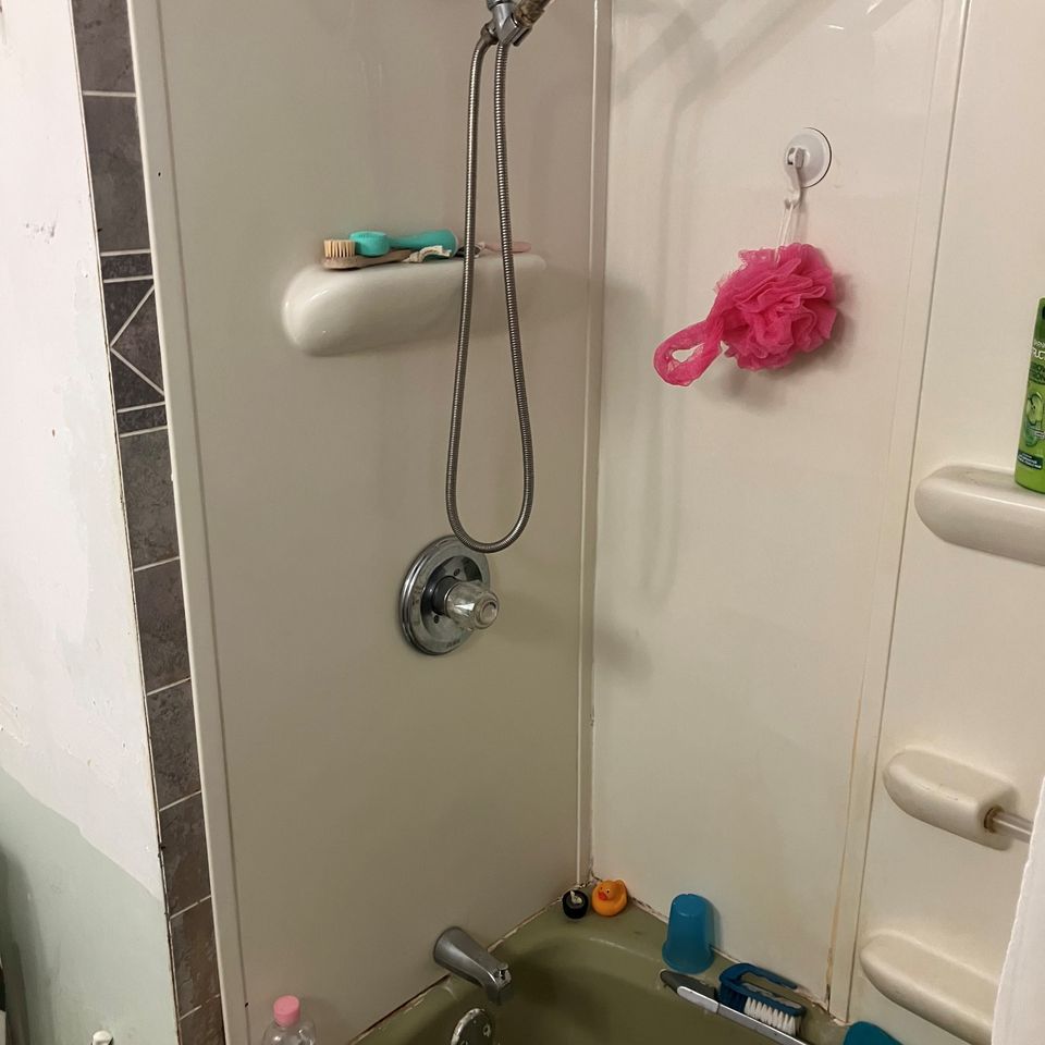 Hyatt bath before photo 1