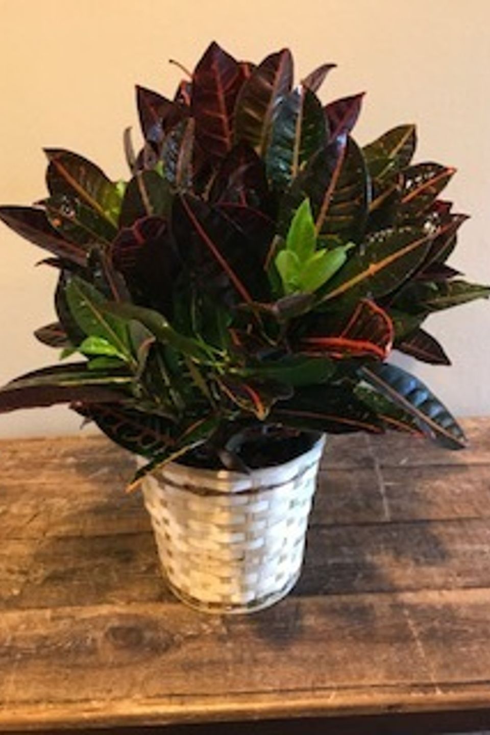 Img 126620180424 31438 1swdu5e