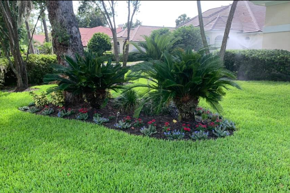 Screenshot 2025 10 20 082049