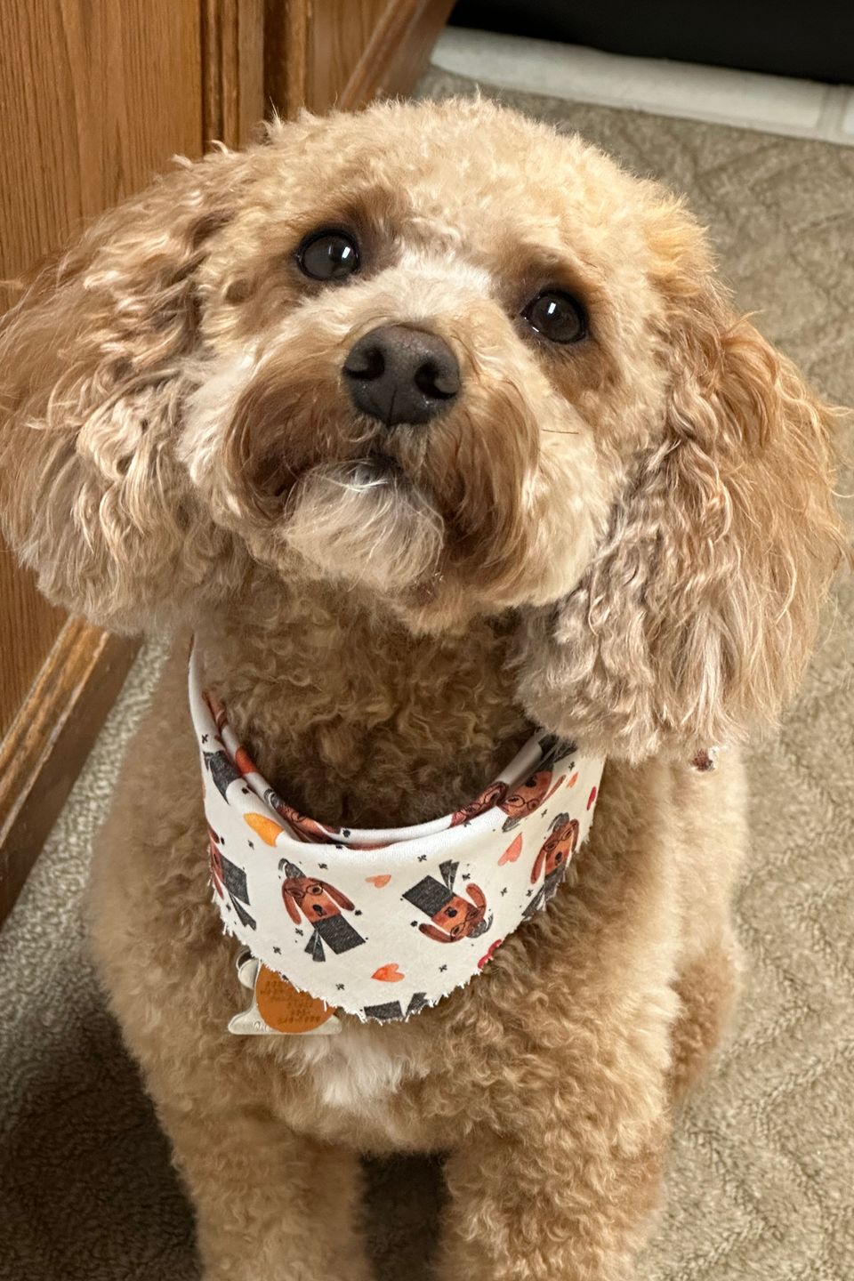 Penny