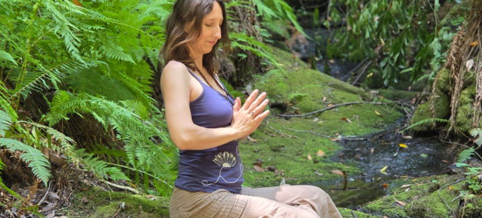 Sunee forest