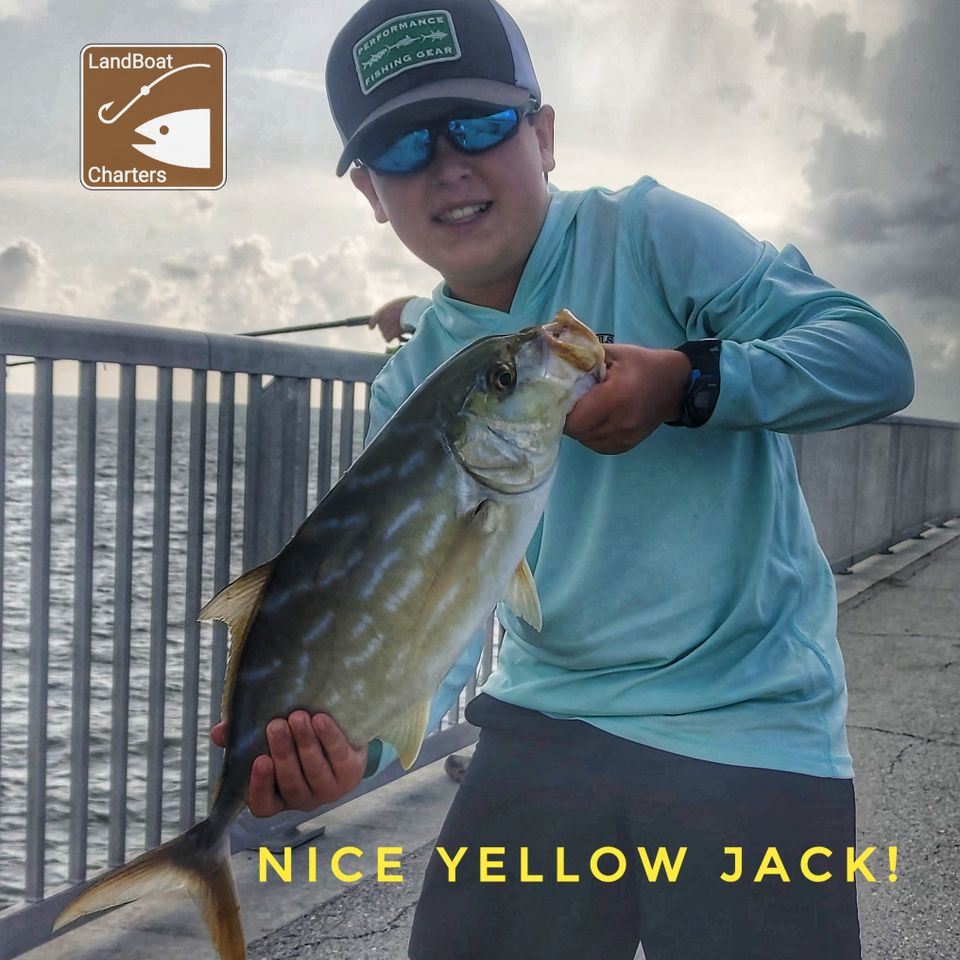 Yellow jacket