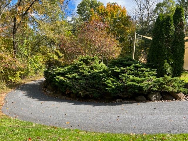 Img 3350