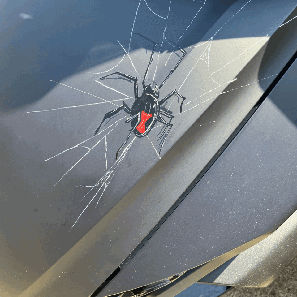 Creative custom pinstriping design and artistic projects created by Skeeter's Grafix.