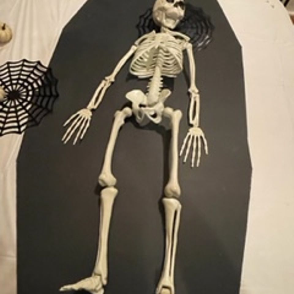 Img 1037