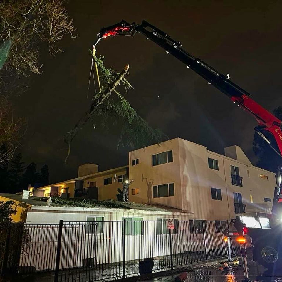 free tree trimming estimate fair oaks