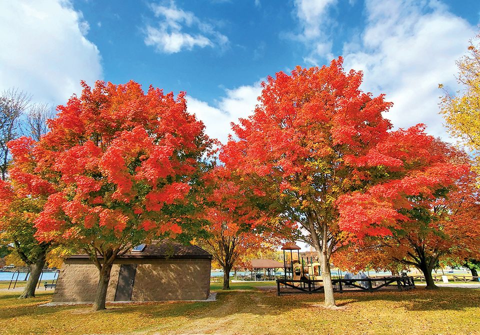 Fallcolorboulder (cropped)