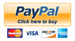 Paypal button20170924 7790 10s4l9d