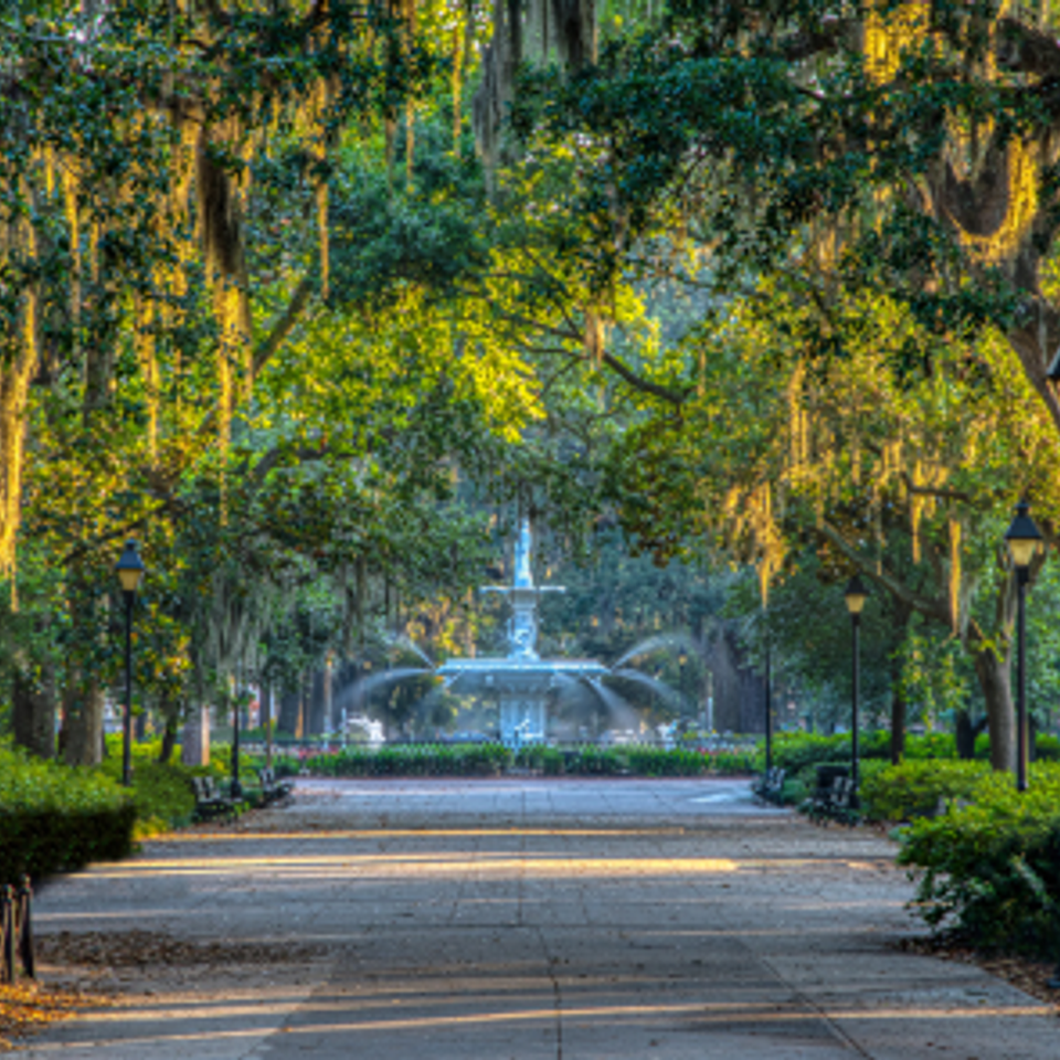 Usa (conus)   4 days   3 nights   savannah