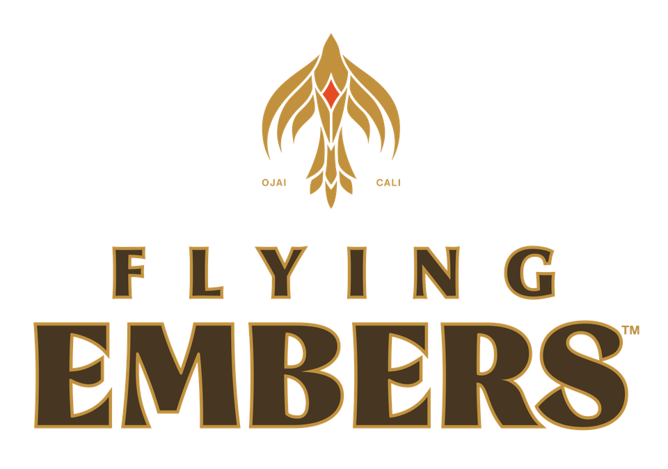 Fe logo 01