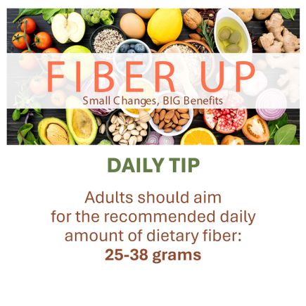 Fiber daily tips page 05
