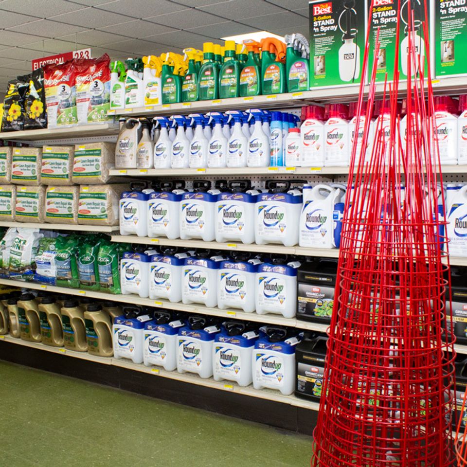 Roundup grass seed