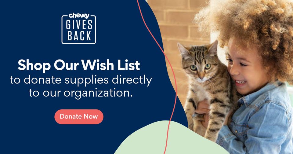 Chewy gives back cat 1200x630