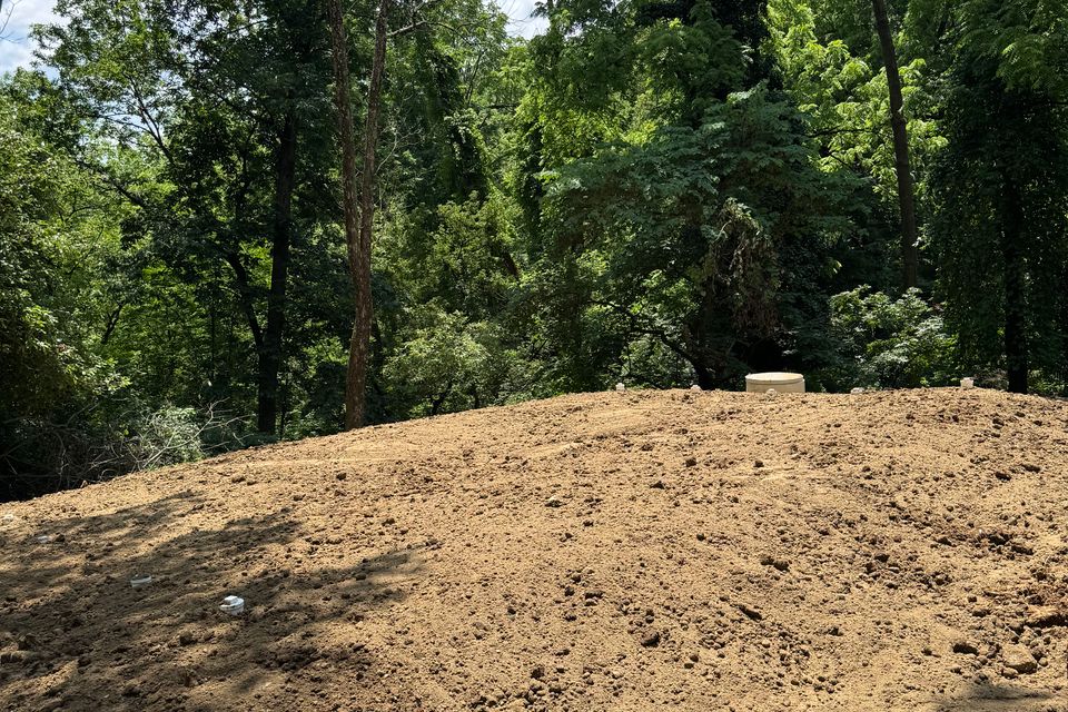 Img 3949