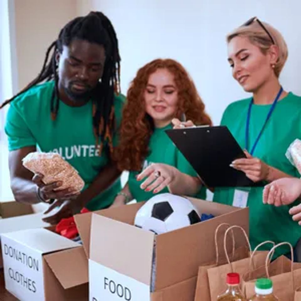 Non profit organizations original