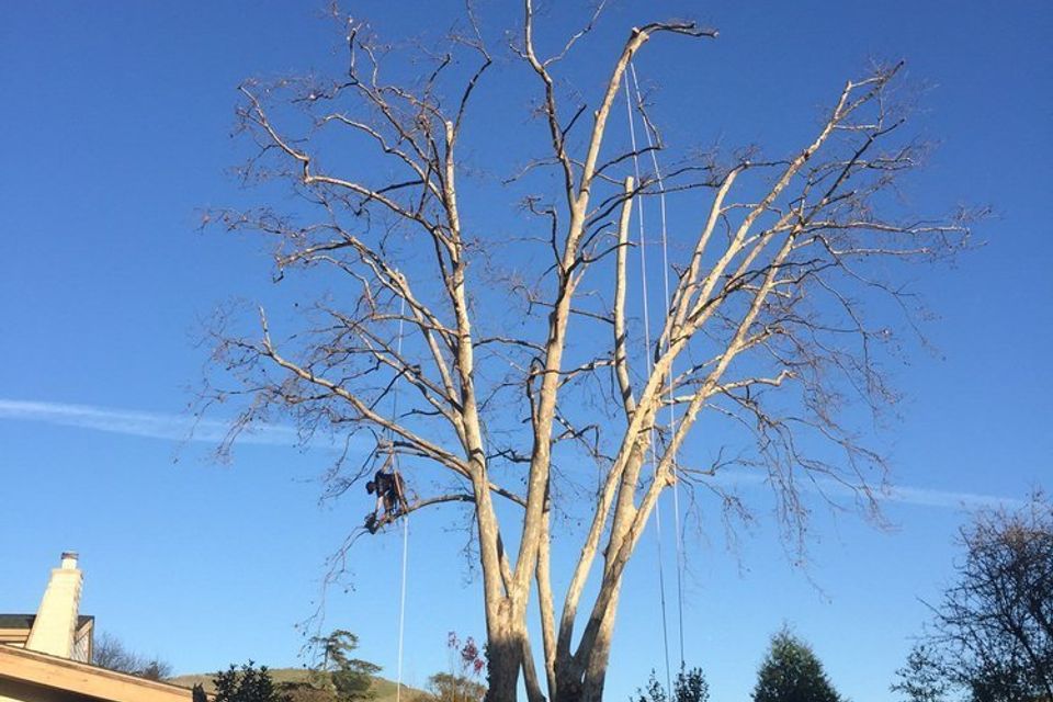 5270b82b4de31747de8927e76dd4e4b020180306 23363 96x55w