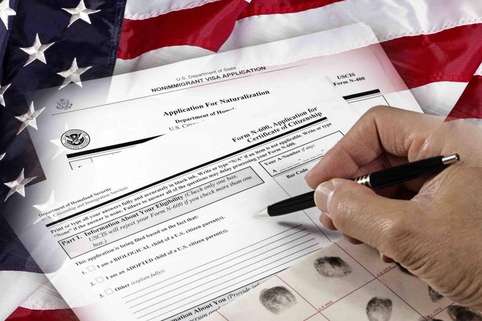 Immigration file mstax