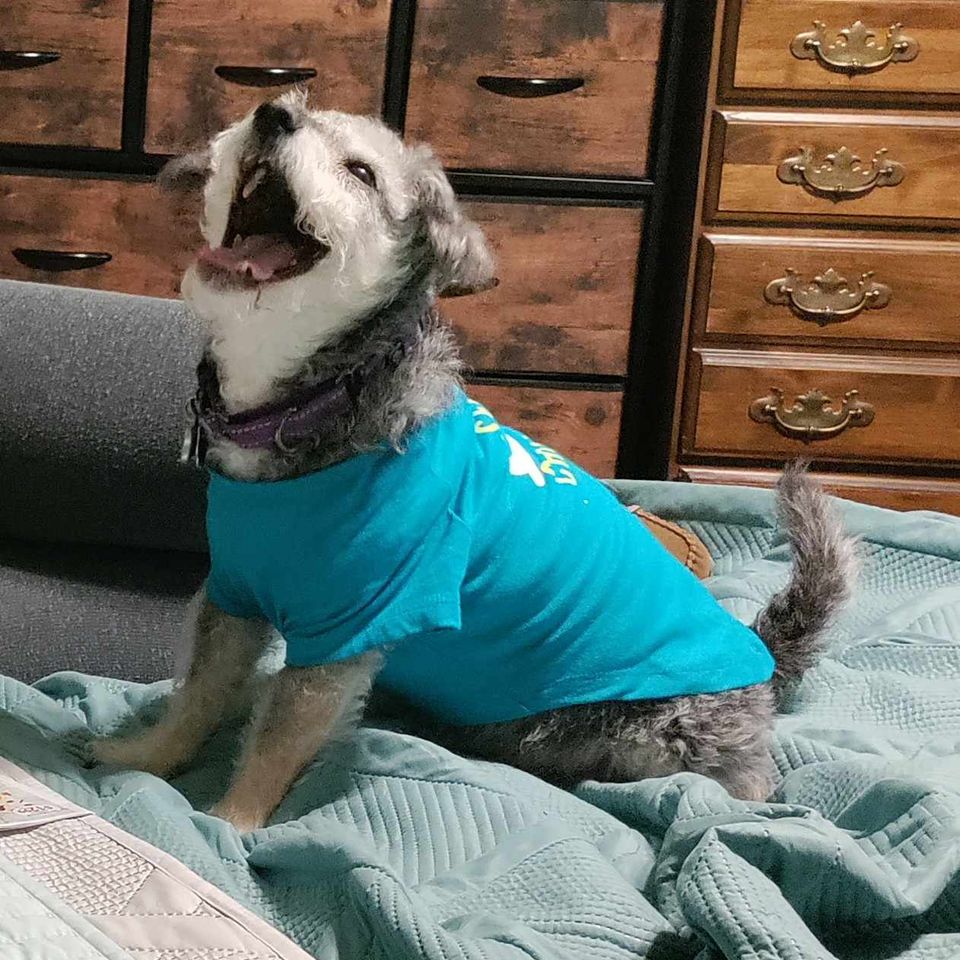 Received 6635773916476453