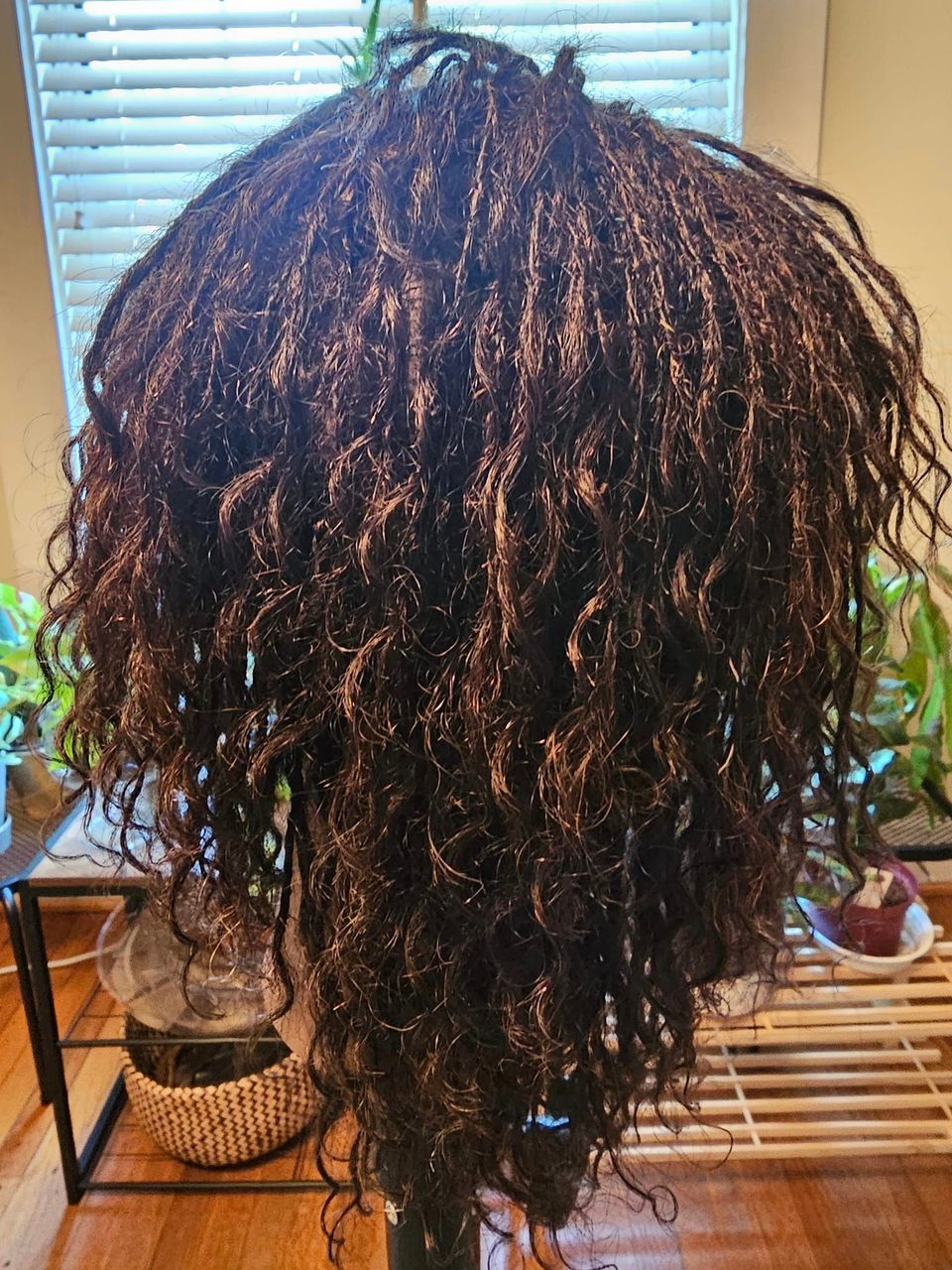 Locs3