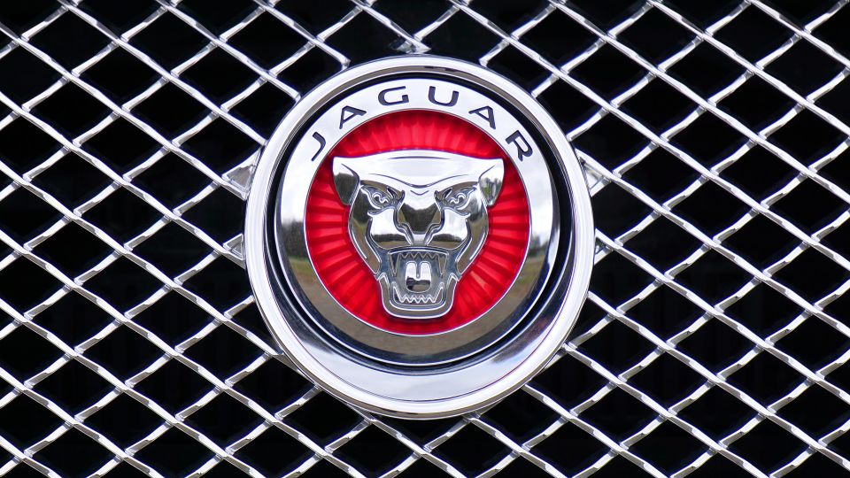 Jaguar g73e8552e9 1920