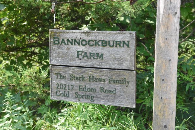 10 bannockburn