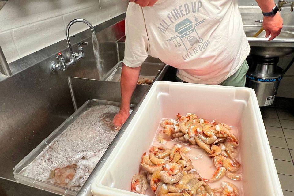 Ser shrimp feed prep 3