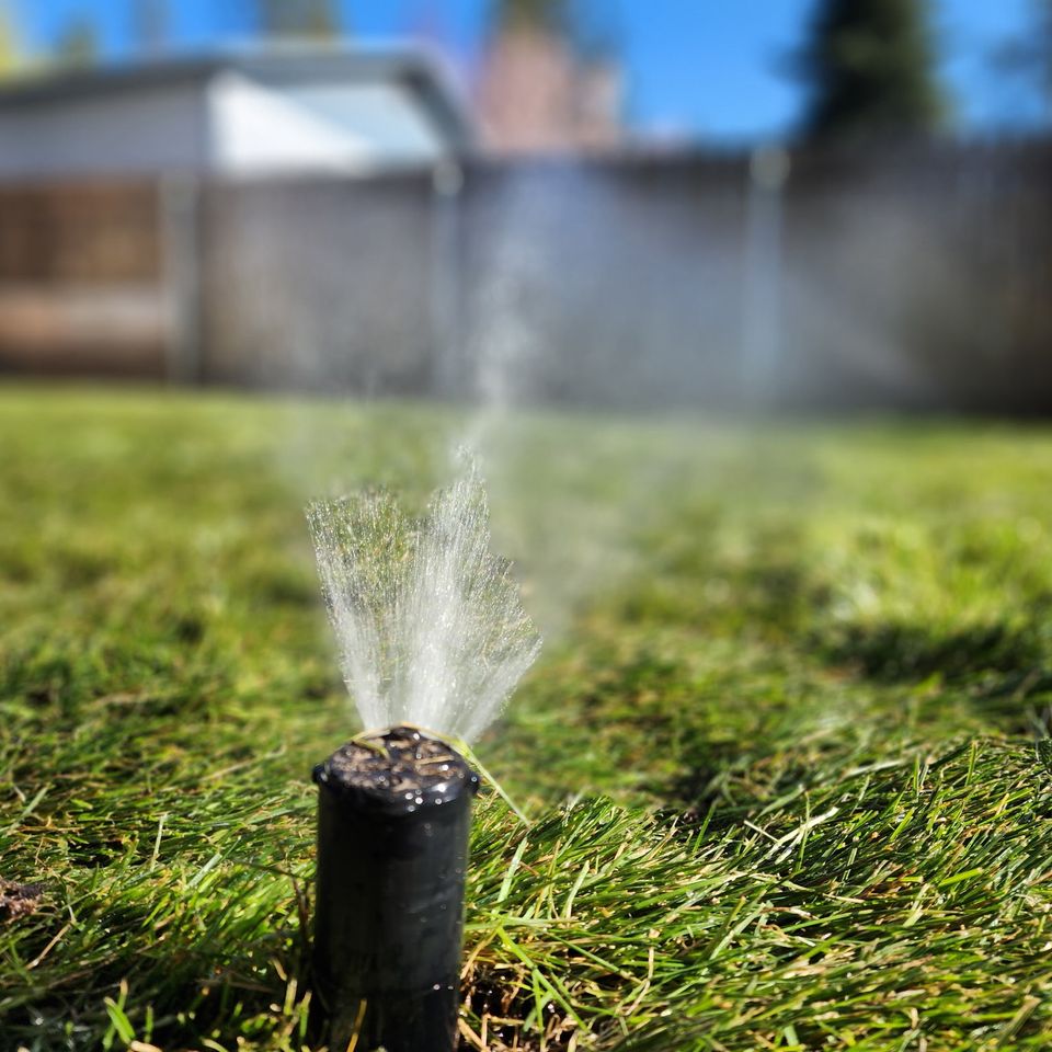 1902007991992065300 original