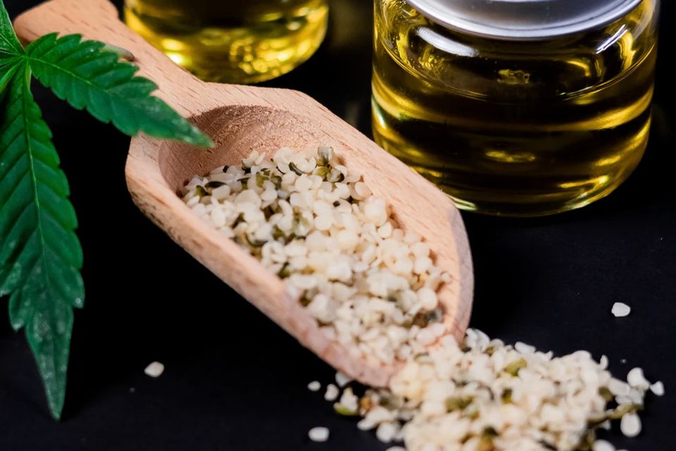 What is hemp oil and how can it benefit your skin 