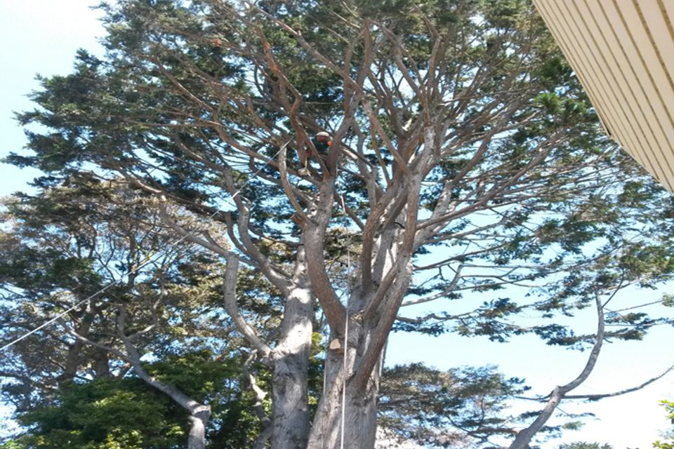 Image10a20180306 15767 1w7h8bk