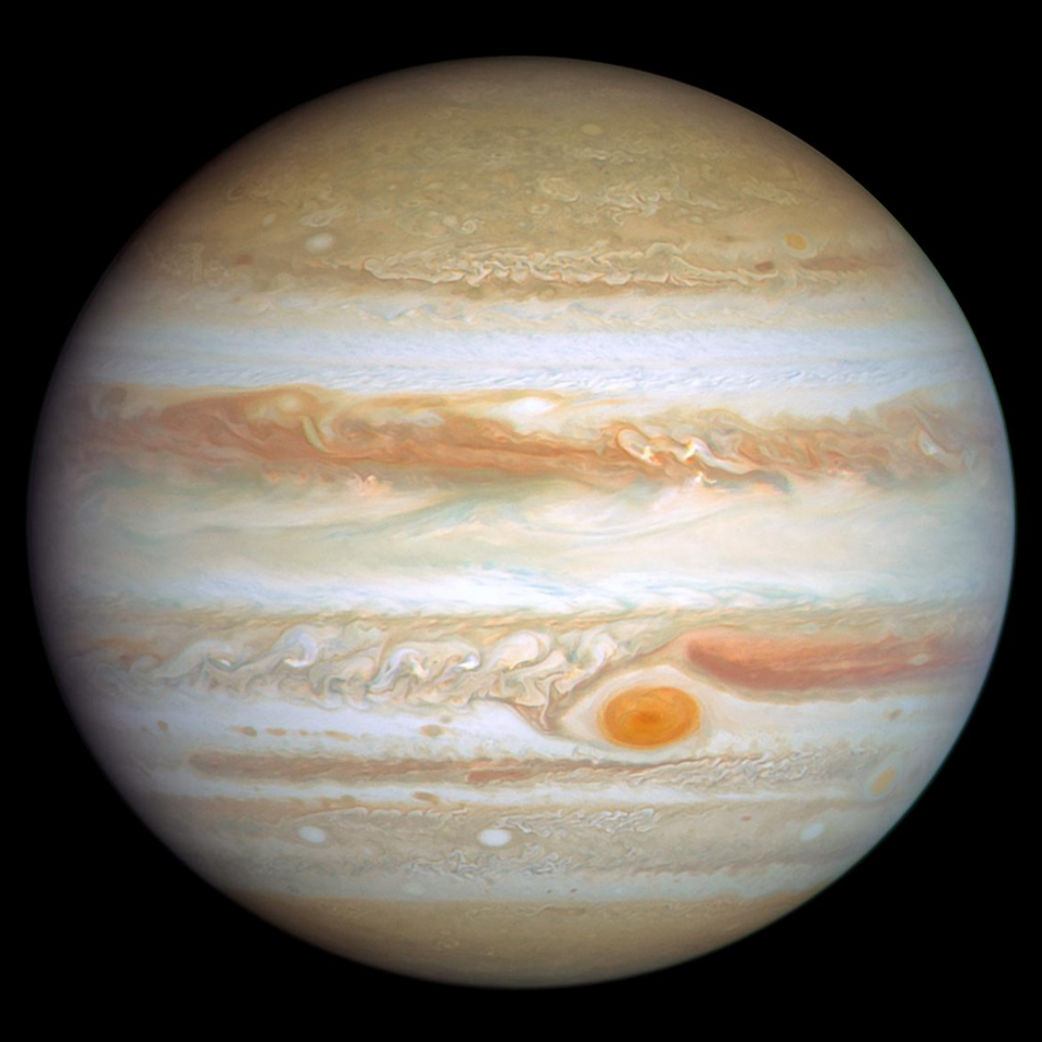 Jupiter opal 2024