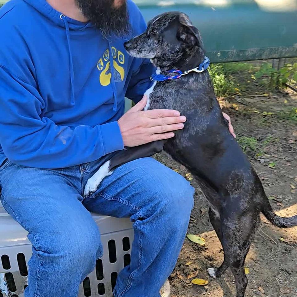 Messenger creation 1052533883418453