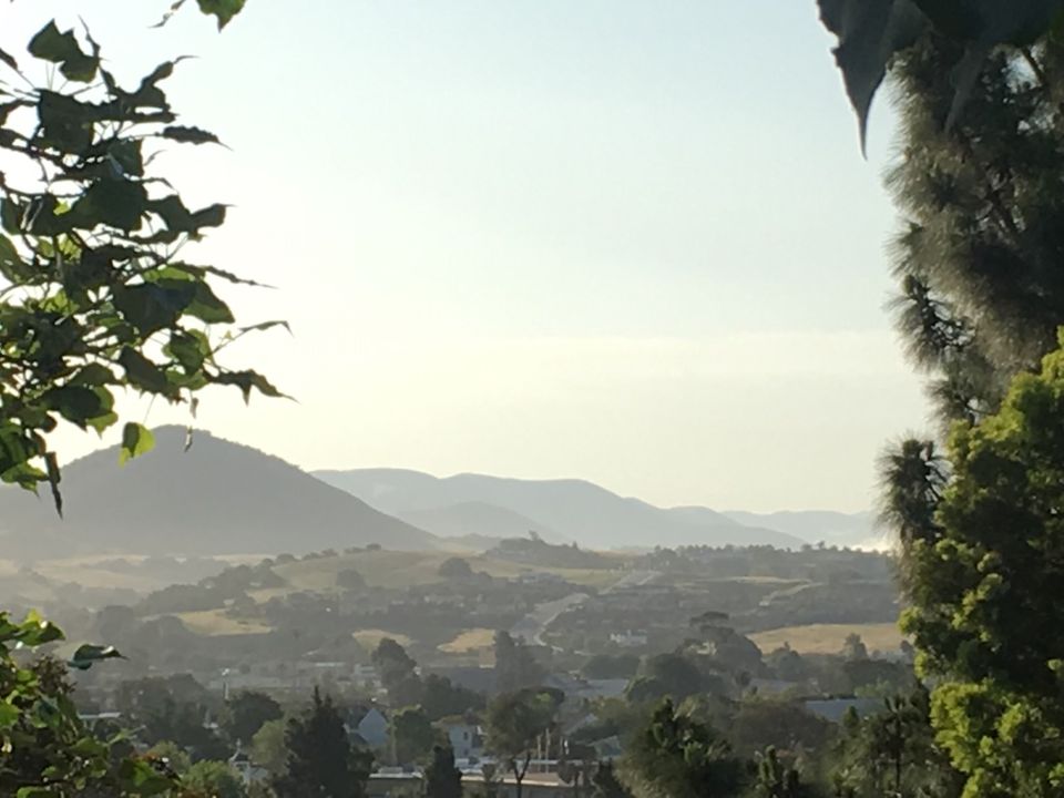 Img 2345