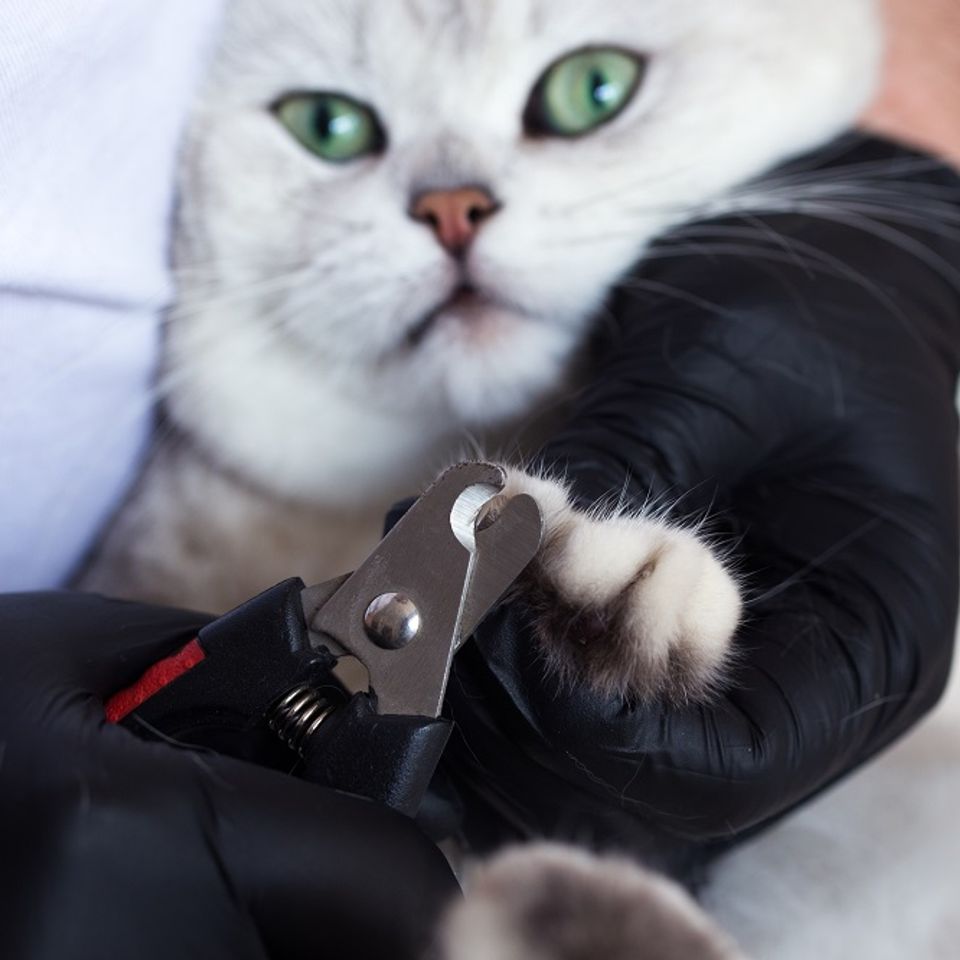 Adobestock 335876525