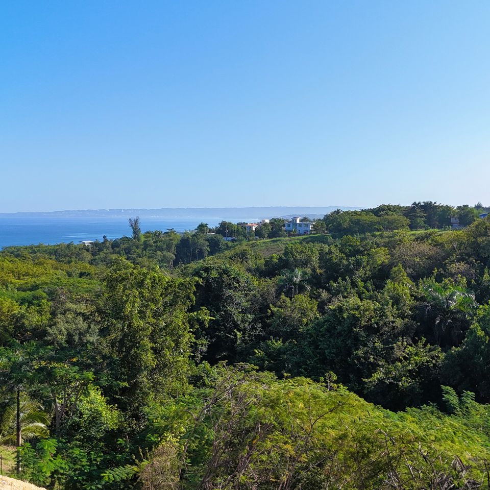 Dji 20251215083019 0171 d