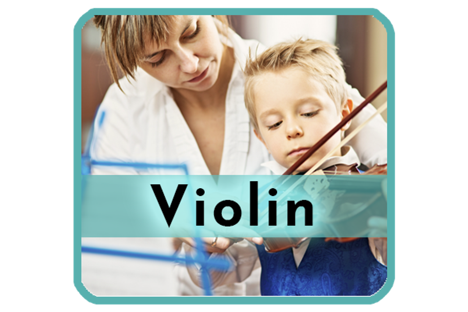 Violin2