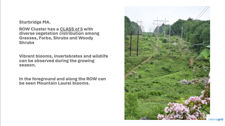 Row cluster chart  powerpoint (3)