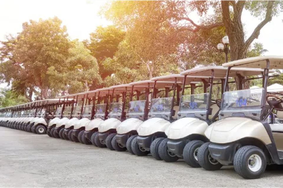 A fleet of clean, modern golf carts lined up and ready for rental at a local dealership or recreational facility.