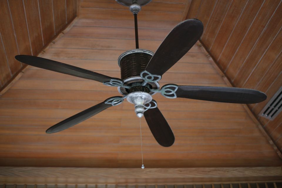 Fan g2f93c4604 1920