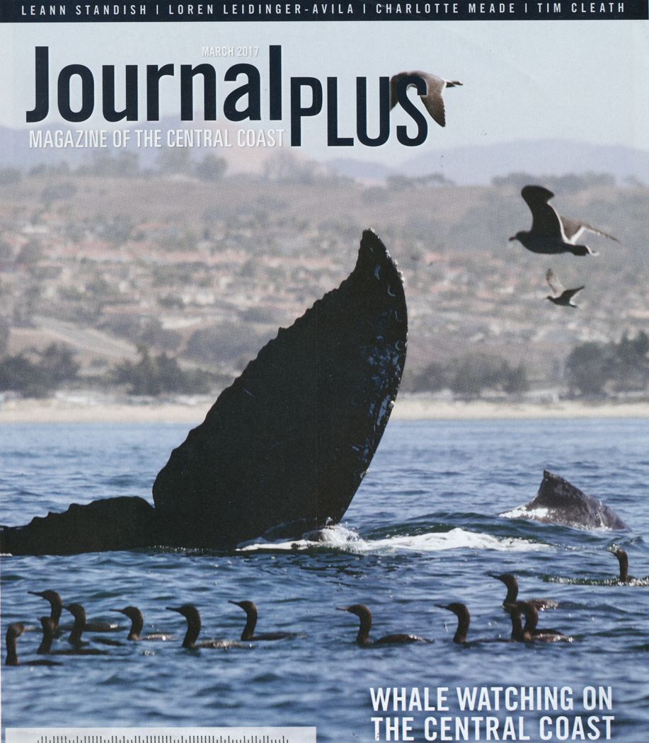 Journal plus20170329 8272 1m9tt27