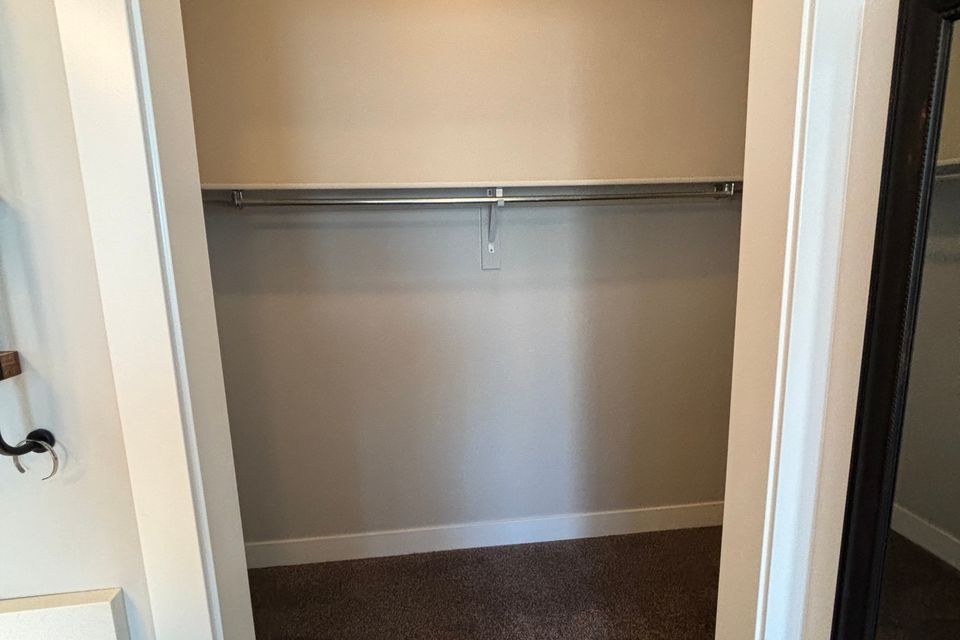 Before -master closet