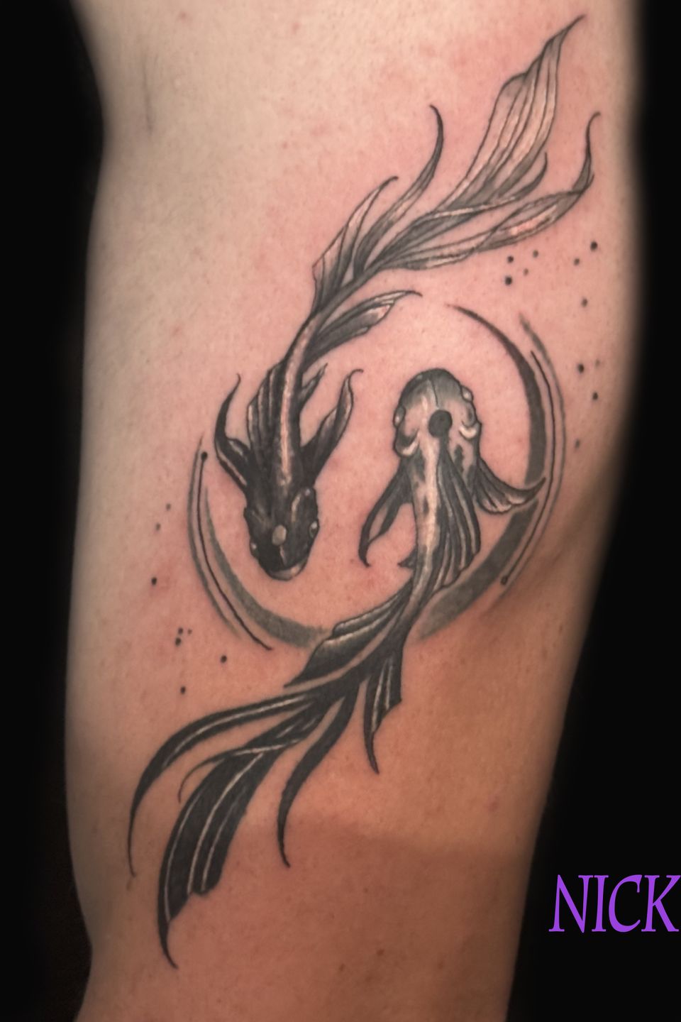 Nick koi yin yang