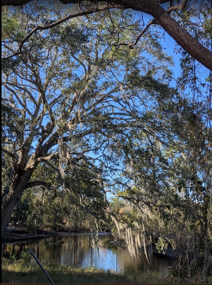 Screenshot 2025 12 20 104510