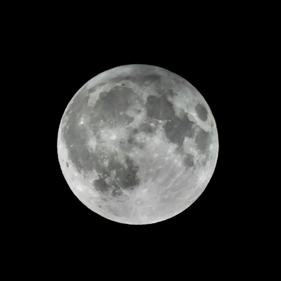 Harvest moon (29100727543)