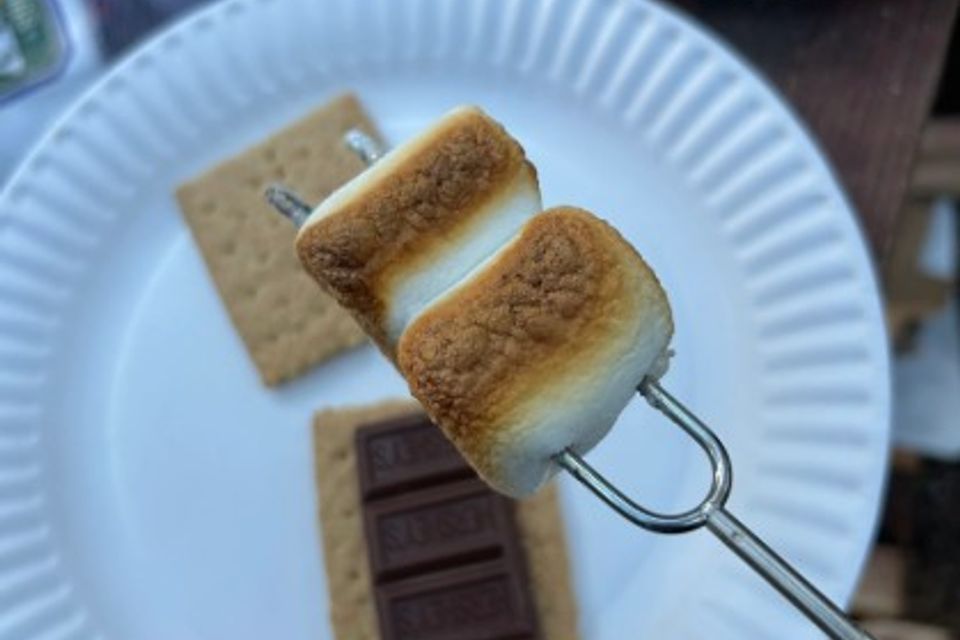 Screenshot 2026 02 18 130710